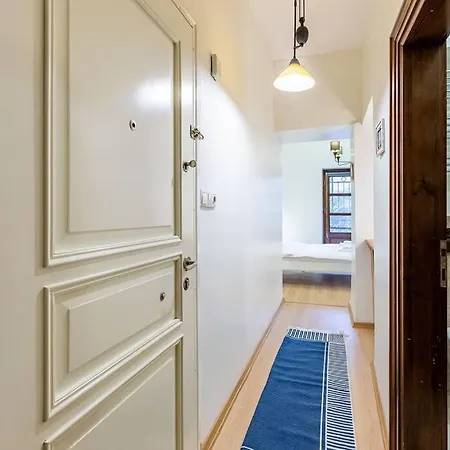 1br Flat 5 Min Walk To Istiklal In Beyoglu Lägenhet
