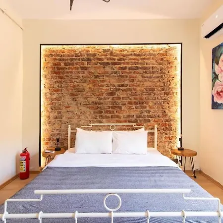 1br Flat 5 Min Walk To Istiklal In Beyoglu アパート イスタンブール